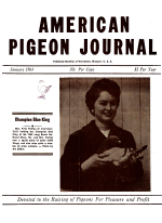 Click for larger image